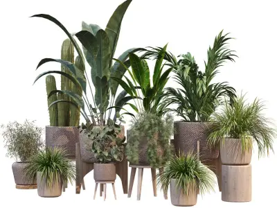 plant in vase collection set 212 3D model