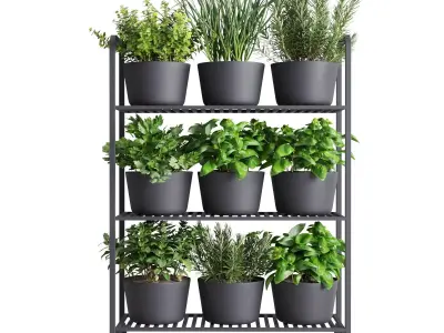 Herb Shelf with Black Pots 3D model