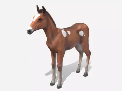 Horse - Foal Low-poly 3D model