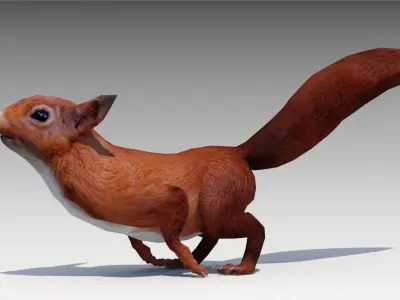 Squirrel Low-poly 3D model 3