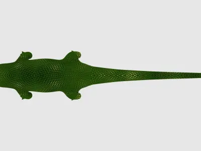 Alligator Low-poly 3D model