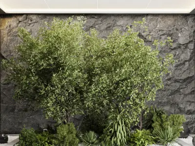 Plants Behind-Galss 06 - indoor plant garden set 436 Low-poly 3D model