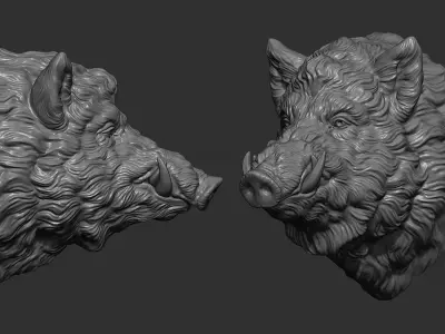 Wild boar head 3D print model