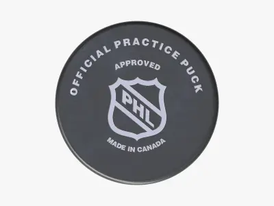 Ice Hockey Puck 3D model