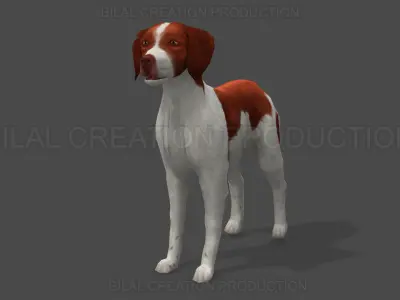 Brittany Dog Animated 3D model