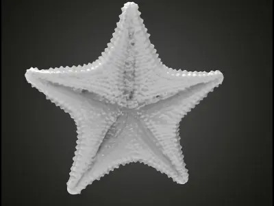 Starfish gold 3D print model