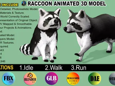 Raccoon Rigged Animated 3 Low-poly 3D model