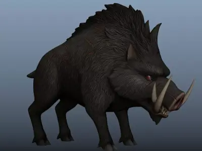 WildBoar 3D model