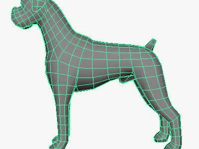 Low Poly Boxer dog Low-poly 3D model