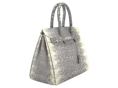 Hermes Birkin Lizard leather 3D Handbag Model Low-poly 3D model