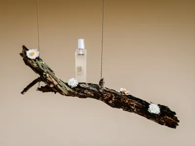 Branch of Flowers rr 3D model