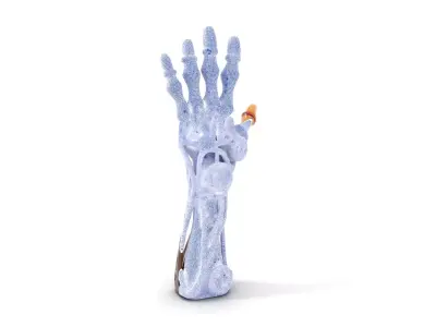 Steampunk Mechanical Hand Model Pack Low-poly 3D model