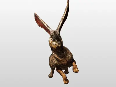 Rabbit  Hare Rigged and Hopping Low-poly 3D model