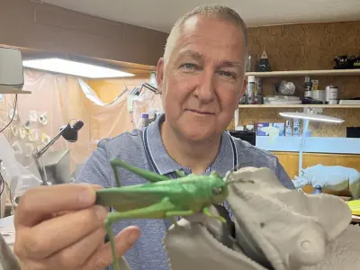 Panther Chameleon - Furcifer pardalis V1 3D print model