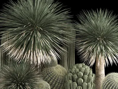 Plants Desert Flowerbed With Cactus 3D model