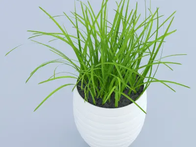 Flower Grass Pot 3D model