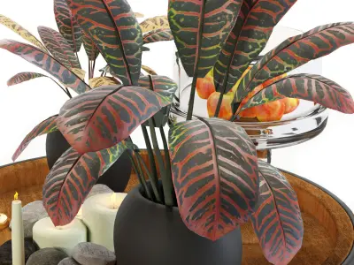 Decorative Set 01 Free 3D model