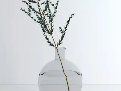 Eucalyptus Parvifolia 3D model