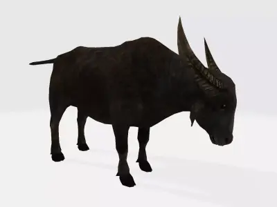 Buffalo animal with long horns 3D model