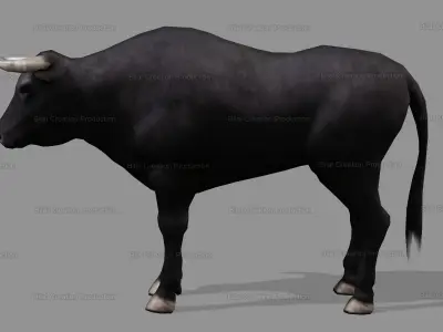 BULL ANIMATED Low-poly 3D model