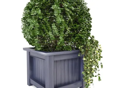 Outdoor Plants in Wooden Pot - Set 34  3D model