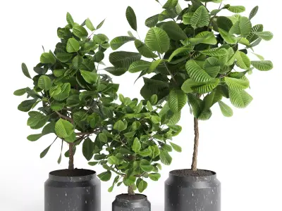 Indoor plant collection 27-marble vase Low-poly 3D model