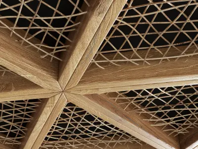 Ceiling tringle frame branch n1 3D model