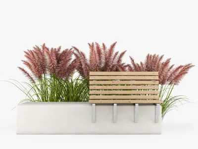 Pink Pampas Grass Seeds 3D model