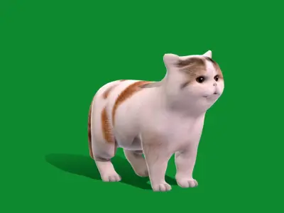 Exotic Shorthair Cat Low-poly 3D model