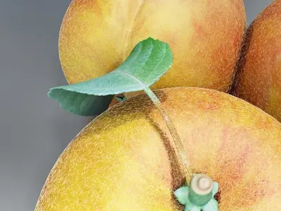 Photorealistic Peach High Resolution 3D model