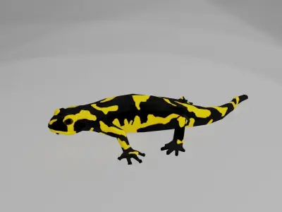 Low poly salamander lizard Low-poly 3D model