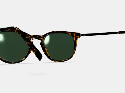 Kian Sunglasses in Black Oak Tortoise with Brushed Ink 3D model