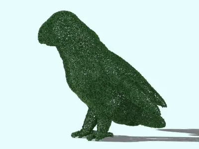 PARROT HEDGE 3D model