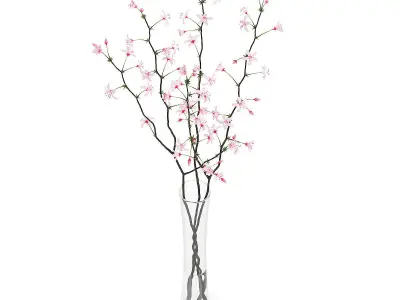 Flowering Tree Twigs in Glass Vase 3D model