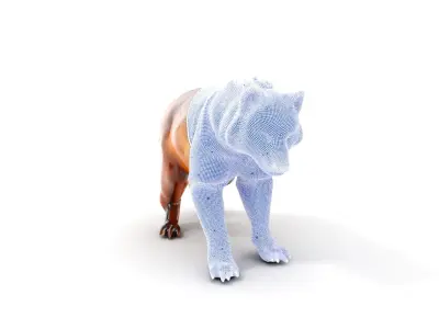 Realistic Canine Model Pack Low-poly 3D model
