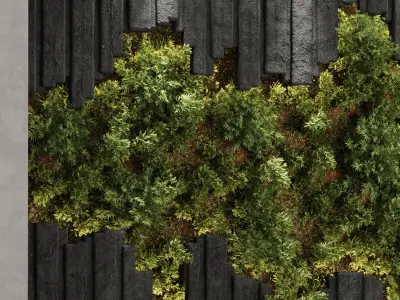 Vertical Wall Garden With concrete frame - set  indoor 79 3D model