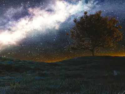 Tree at night Free 3D model