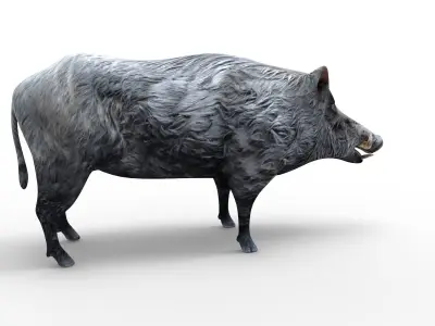 3D Wild Boar Rigged 3D Models Low-poly 3D model