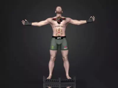 Cornor McGregor 3D Printable  3D print model