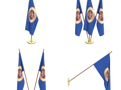 Minnesota Flag Pack 3D model