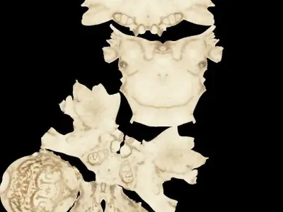 House Cat 3D Scan Custom Texture Separate Jaw 3D model