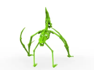 Pteranodon Skeleton 3D print model