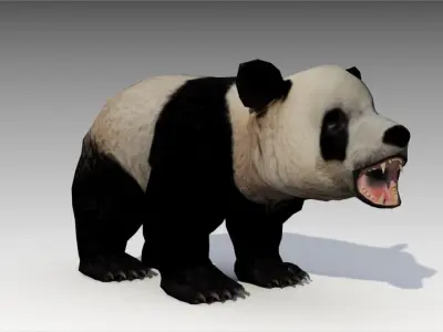 Giant Panda Animated Low-poly 3D model