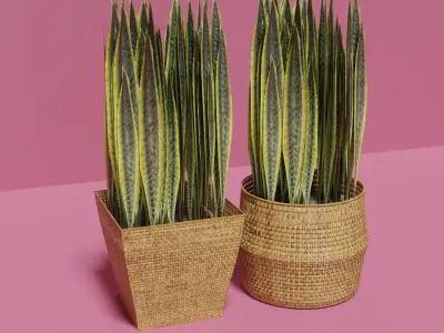 Wicker Flower Baskets Set 3D model