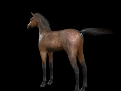 Thoroughbred Arabian Horse WILD WORLD PONY 7 Low-poly 3D model