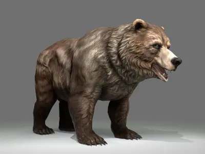 Grizzly Bear Low Poly  Low-poly 3D model