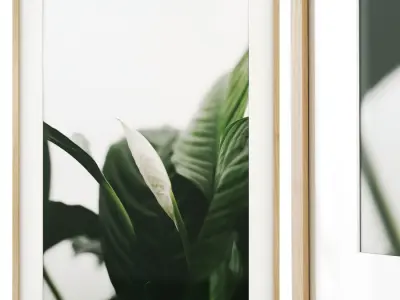 Gallery Wall 144 3D model