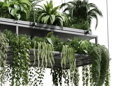 Hanging plants - indoor plant 420 Low-poly 3D model