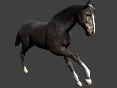 Black Stallion Realistic Running Animation Low-poly 3D model