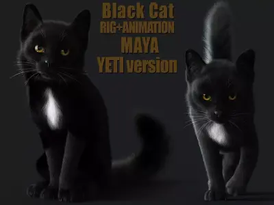Cat Black ANIMATED  YETI version 3D model